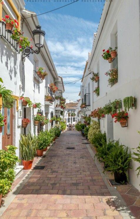 Trebol Apartamentos Benalmadena Arroyo De La Miel Exterior photo